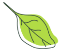 About Leaf