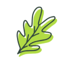 About Leaf