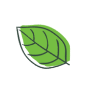 Produce Leaf