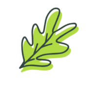Veggie Leaf